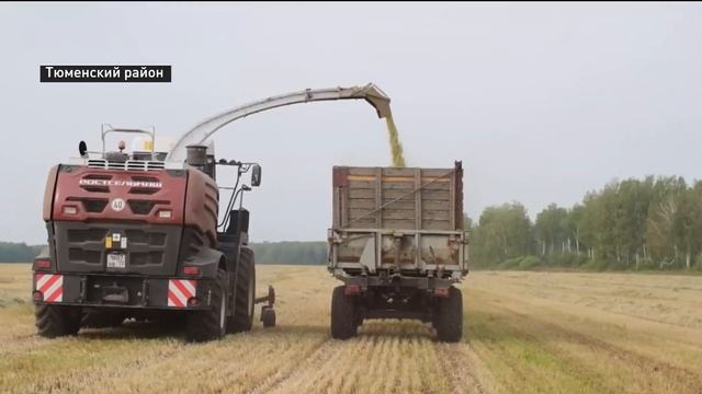 Различные модели сельхозтехники представили на выставке "Тюмень-Агро – 2023" смотреть онлайн
