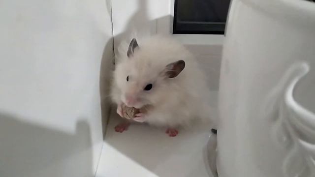 РЕАКЦИЯ ЛЭЙСА НА КЛУБНИКУ смотреть онлайн