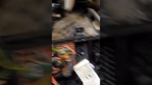 Подключение противотуманных фар хендай  соната