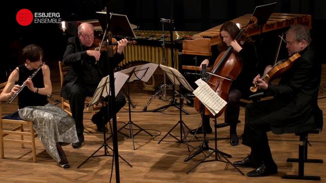 François Devienne: Quartet for Flute, Violin, Viola & Cello - G major op 11 no 1 - EE Music Box #47 смотреть онлайн