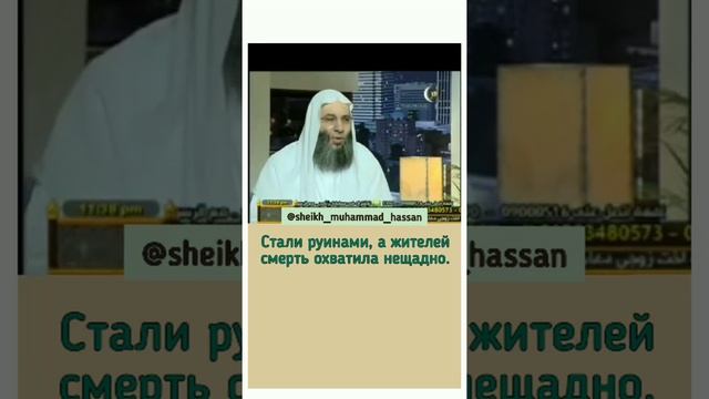 Шейх Мухаммад Хассан Трогательный стих АЛИ смотреть онлайн