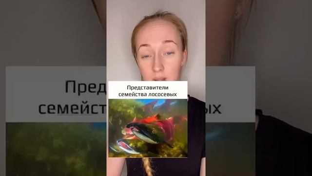 Животные, погибающие после спаривания. Часть 1