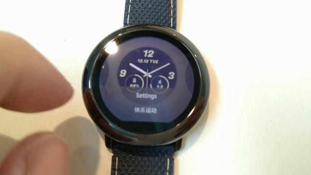 Amazfit Pace flash gone bad - Stratos in English! смотреть онлайн