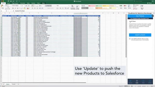 Managing Price Books with CloudExtend Excel for Salesforce смотреть онлайн