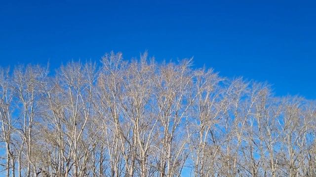 Ясный день с весенней капелью смотреть онлайн