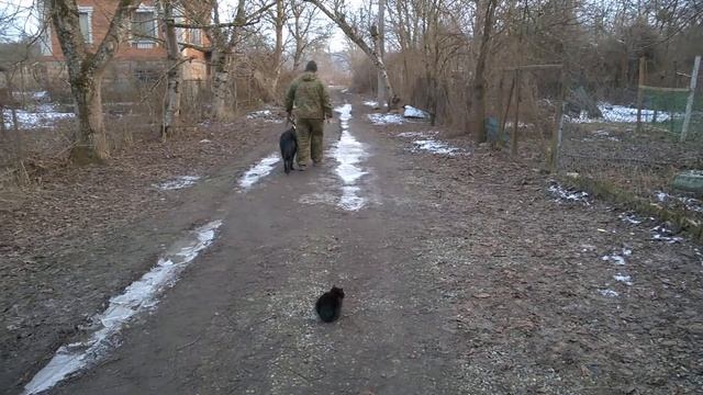Восточно-европейская овчарка Султан 1,6г.дрессировка смотреть онлайн