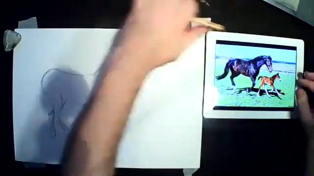 Конь и жеребенок 1 смотреть онлайн