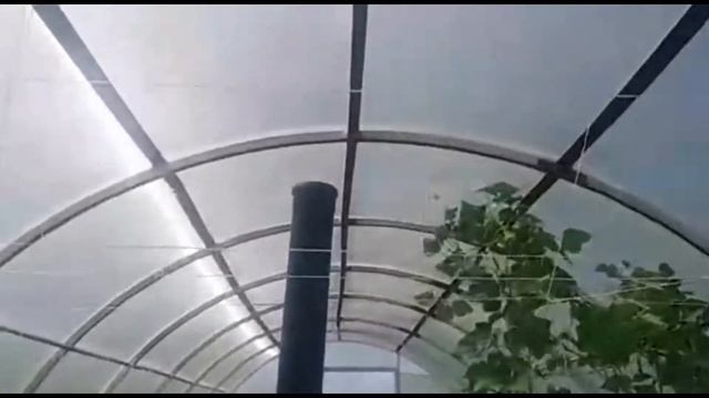 Теплица с подогревом грядок и охлаждаемая от солнечной энергии. смотреть онлайн