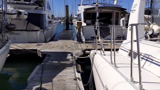 Катера и яхты