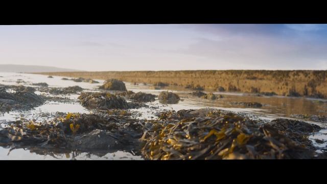 BMPCC 4K + 24mm SIRUI ANAMORPHIC FOOTAGE