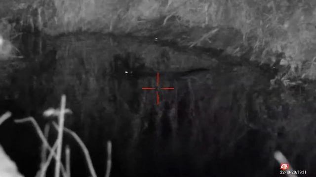 Охота на бобра с прицелом ATN. смотреть онлайн