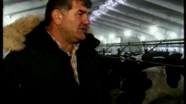 Фермерский молочный комплекс в Кузбассе СУ 26 12 15 смотреть онлайн