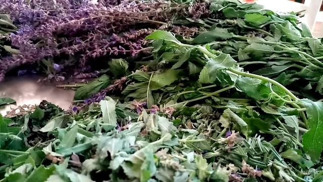 ЧИСТИМ ПЕЧЕНЬ И КРОВЬ 1 СТАКАНОМ И БЕЗ БОЛЬНИЦ 21.06.22