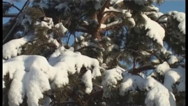 ДОМ НА ПЕРЕДОВОЙ смотреть онлайн
