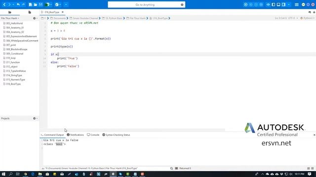 Cơ bản Python | Bài 17: Kiểu Bool (đúng - sai) trong Python смотреть онлайн