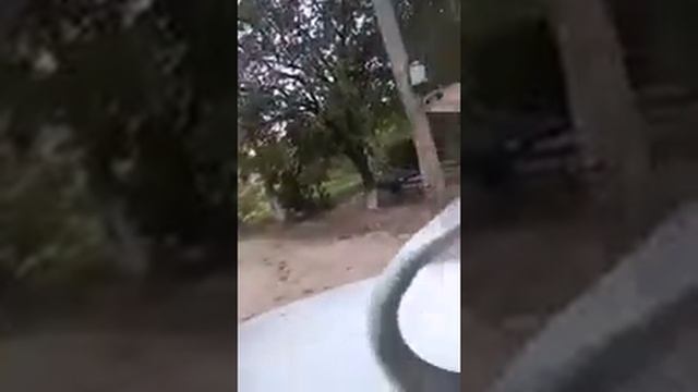 Samarqand viloyati Nurobod tumani Anjirli qishlog'idan смотреть онлайн