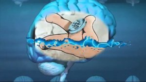 Айболит на зоне Начало. сезон 1 серия 13 хвост за хвост.