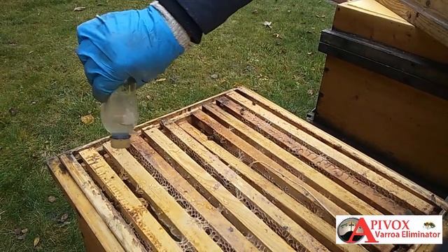 Обработак пчел щавелевой кислотой струйно в начале зимы смотреть онлайн