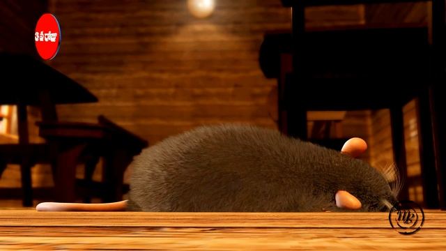 KING Bandicoots Rats Poison Powder смотреть онлайн