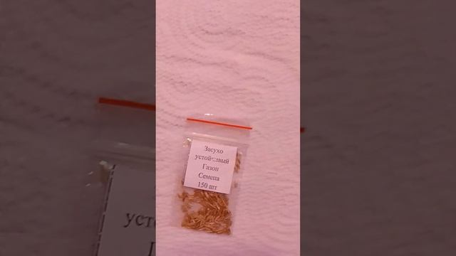 Засухоустойчивый газон - руководство по выращиванию смотреть онлайн