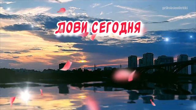 Доброе утро! С первым днем весны! С первым утром весны🕊️ смотреть онлайн