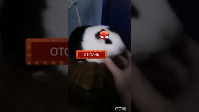 Я оседлал льва смотреть онлайн
