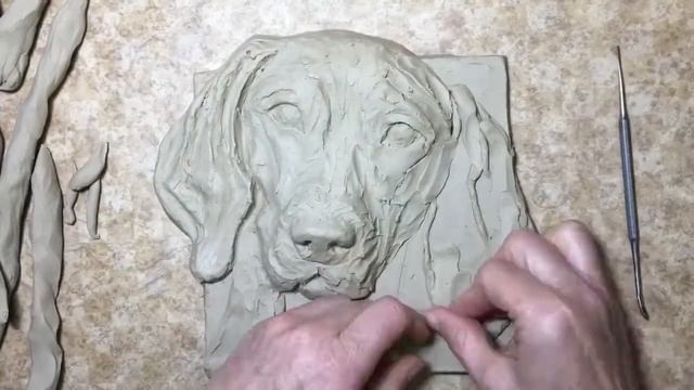 Learn how to sculpt a bas-relief dog | Sondra Alexander смотреть онлайн