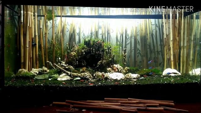 Оформление аквариума / Aquarium design смотреть онлайн