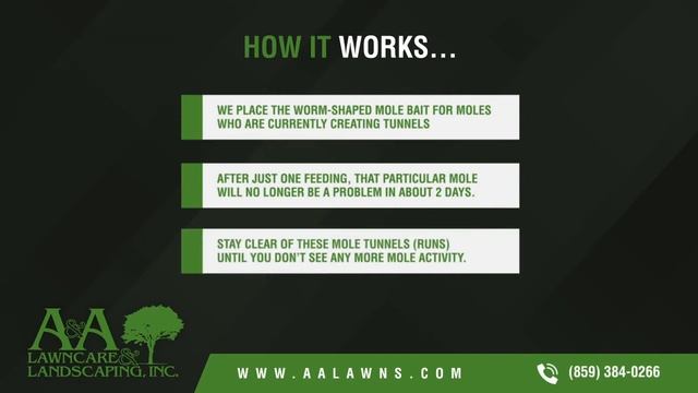 Mole Control смотреть онлайн