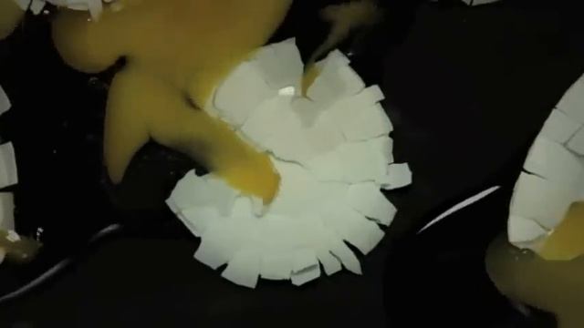 Stefan Sagmeister: 7 rules for making more happiness смотреть онлайн