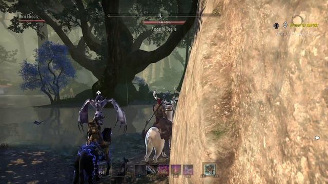 ESO: High Isle Treasure Map 3 - The Elder Scrolls Online High Isle Treasure Map 3 Location смотреть онлайн