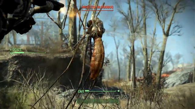 Fallout 4 - Dogmeat Goes Stealth! смотреть онлайн