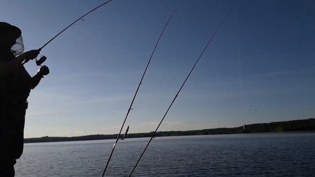 Щука 4 кг смотреть онлайн