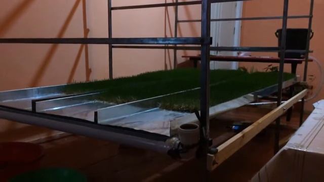 Гидропоника Узбекистан Каракалпакстан кунград смотреть онлайн