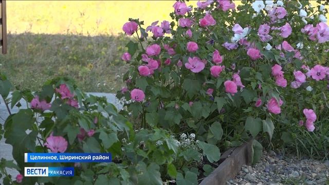 Молодая семья из Красноярска переехала в село в Ширинском районе на привлекательных условиях смотреть онлайн