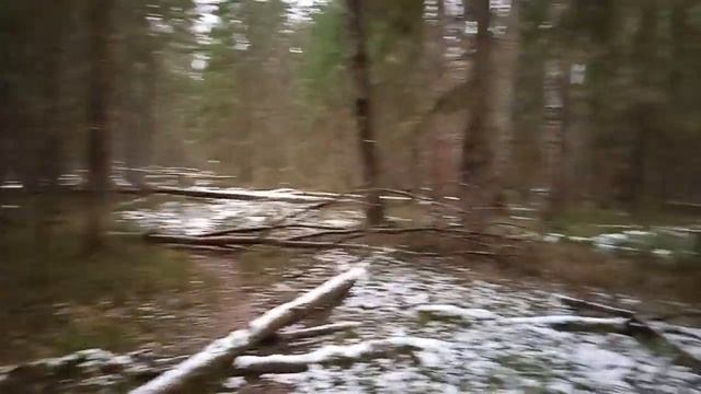 Прогулка за грибами в зимний лес смотреть онлайн