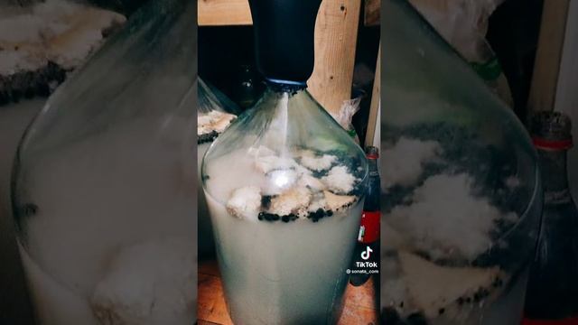  смотреть онлайн