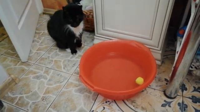 Секреты Творческой Мастерской