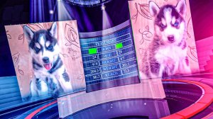 ЭПИЧНАЯ БИТВА ЩЕНКОВ НА ВЫЖИВАНИЕ!! (Хаски Бублик) Говорящая собака Mister Booble