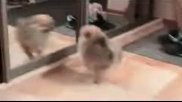 новое прикол прохода там нет смотреть онлайн