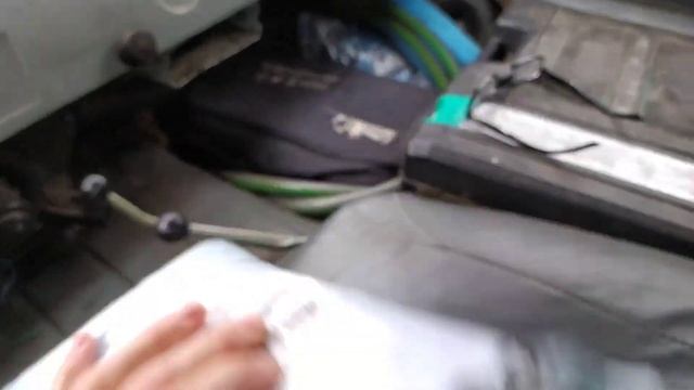 Чёрный нож Apteronotus albifrons) пересадка . Купил бредень - ловлю золотых рыб в пруду . смотреть онлайн