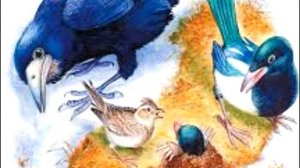 Н.И.Сладков  сказка "Чья проталина?"