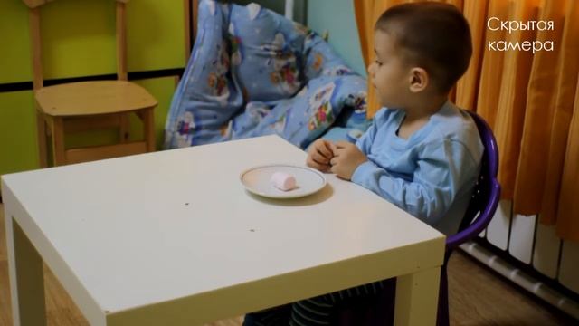 Зефирный тест с детьми / Marshmallow test with kids смотреть онлайн