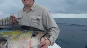 Вот это рыбалка! Как ловят тунца.