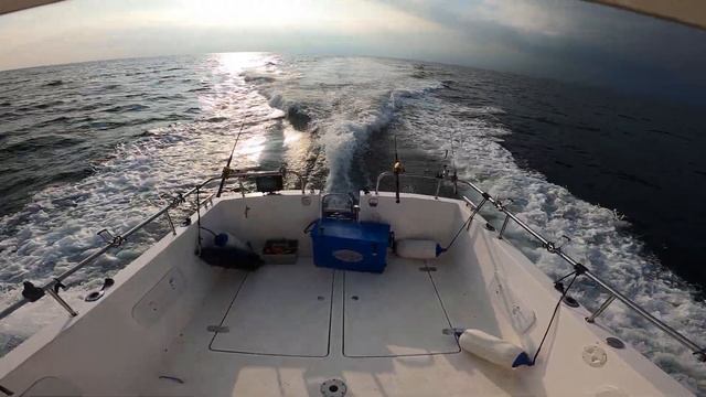 Aquafish 28 with Volvo Penta d6 370 смотреть онлайн