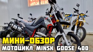 Мини - обзор ПОПУЛЯРНОГО мотоцикла MINSK (МИНСК) GOOSE 400
