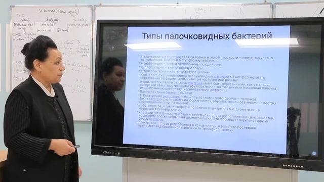 Морфология и структура микроорганизмов смотреть онлайн