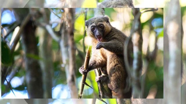 Adventure Madagaskar (Small Groups) смотреть онлайн