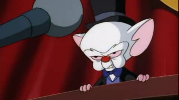 Pinky And The Brain - S4E1 - Brainwashed(1) Brain, Brain, Go Away