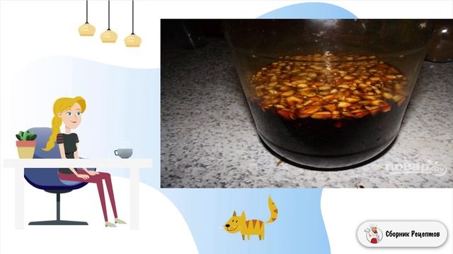 Сборник рецептов